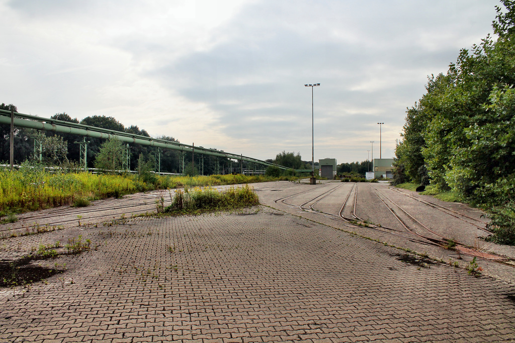 Ehemaliger Materialplatz (Zeche Westerholt 1/2/3, Gelsenkirchen-Hassel) / 11.09.2016