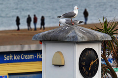 EOS 60D Unknown 19 14 13 3473 ClockGull dpp hdr