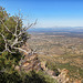 Sierra Vista, San Pedro Valley