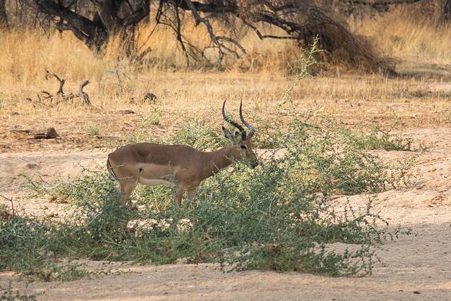 Namibia-0625