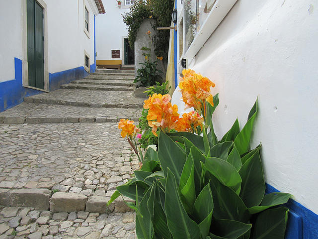 Obidos