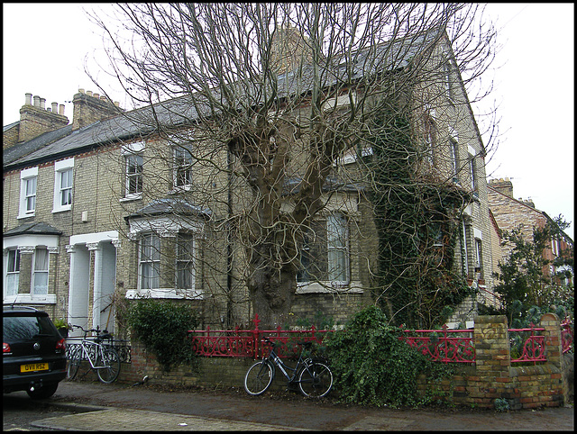 Western Road houses