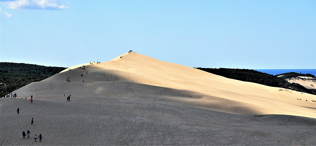 Cycling from Bordeaux Vineyards to the Atlantic Coast / Dune du Pilat