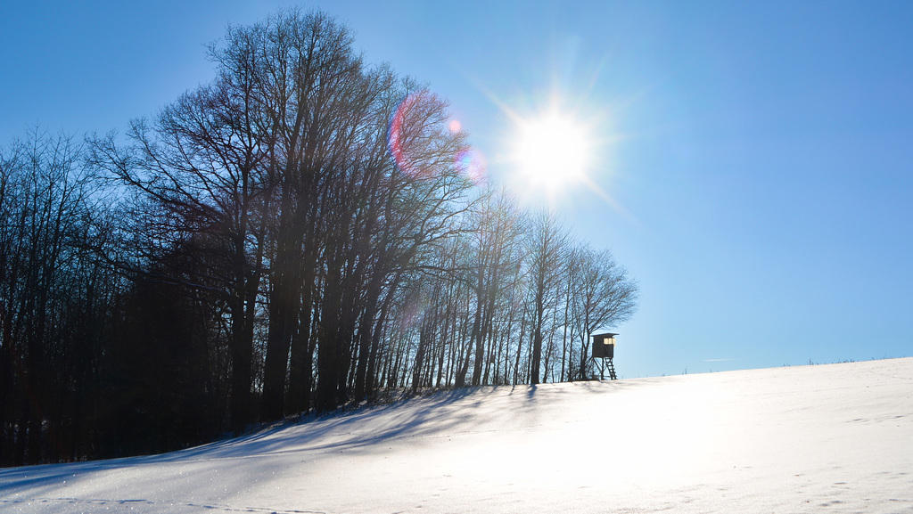 Sonniger Wintertag