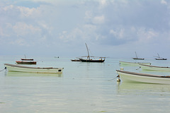 Zanzibar, Fishing Boats