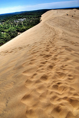 Cycling from Bordeaux Vineyards to the Atlantic Coast / Dune du Pilat