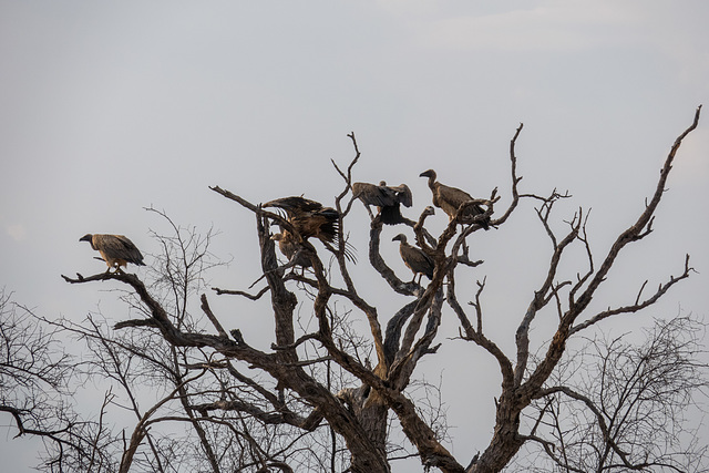 Namibia-0630