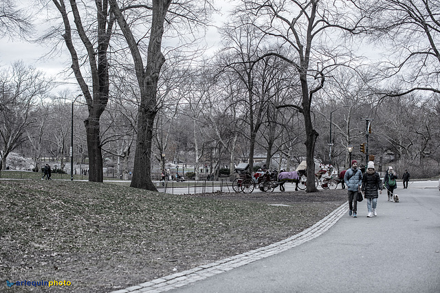Central Park at last (for this day)