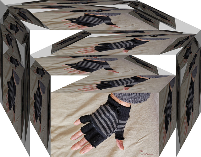 Fünf Finger hab ich an jeder Hand