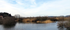 Egelsee