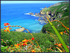 Zennor Coast, Cornwall. On the South West Peninsula Coast Path.