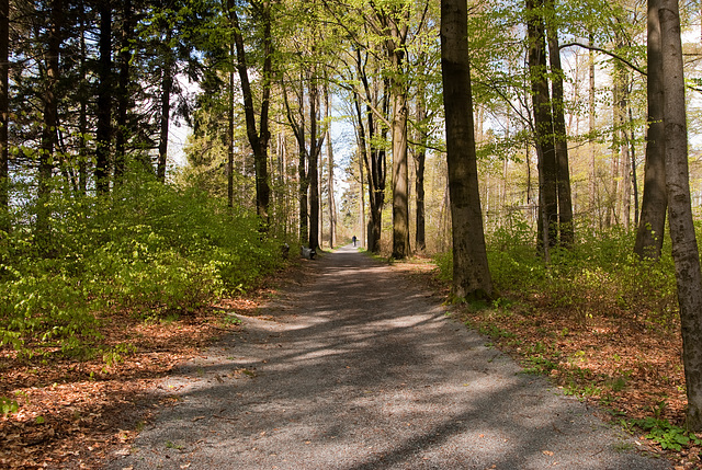 Kurpark Bad Steben