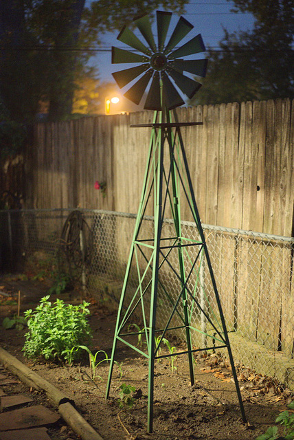 Backyard garden