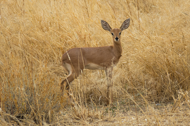 Namibia-0633