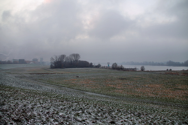 Rheinaue hinter dem Werksgelände von ThyssenKrupp Steel (Duisburg-Bruckhausen) / 17.12.2022