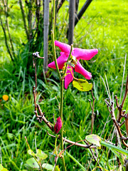 IMG 20251028 160449a