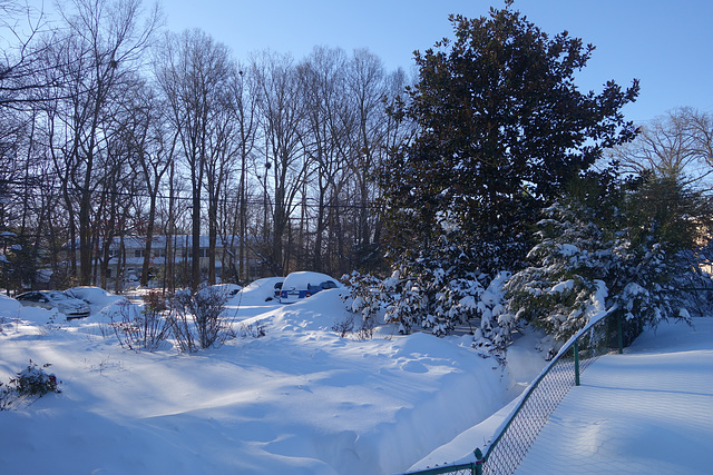 Looking towards the parking lot