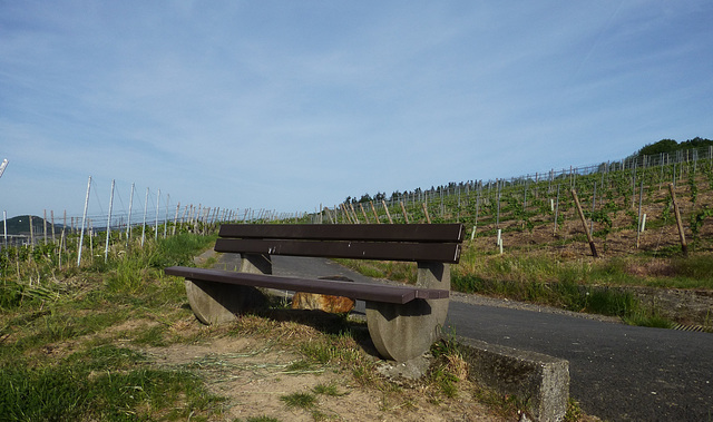 HBM aus den Weinbergen