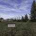 HFF ... with this picture of the fire brigade training area at Zurich Airport ... P.i.P. (© Buelipix)