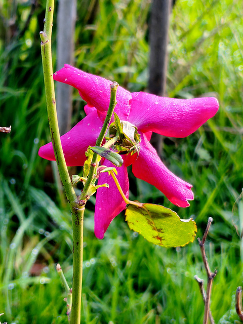 Fin de saison [EXPLORER]