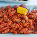 Crawdads