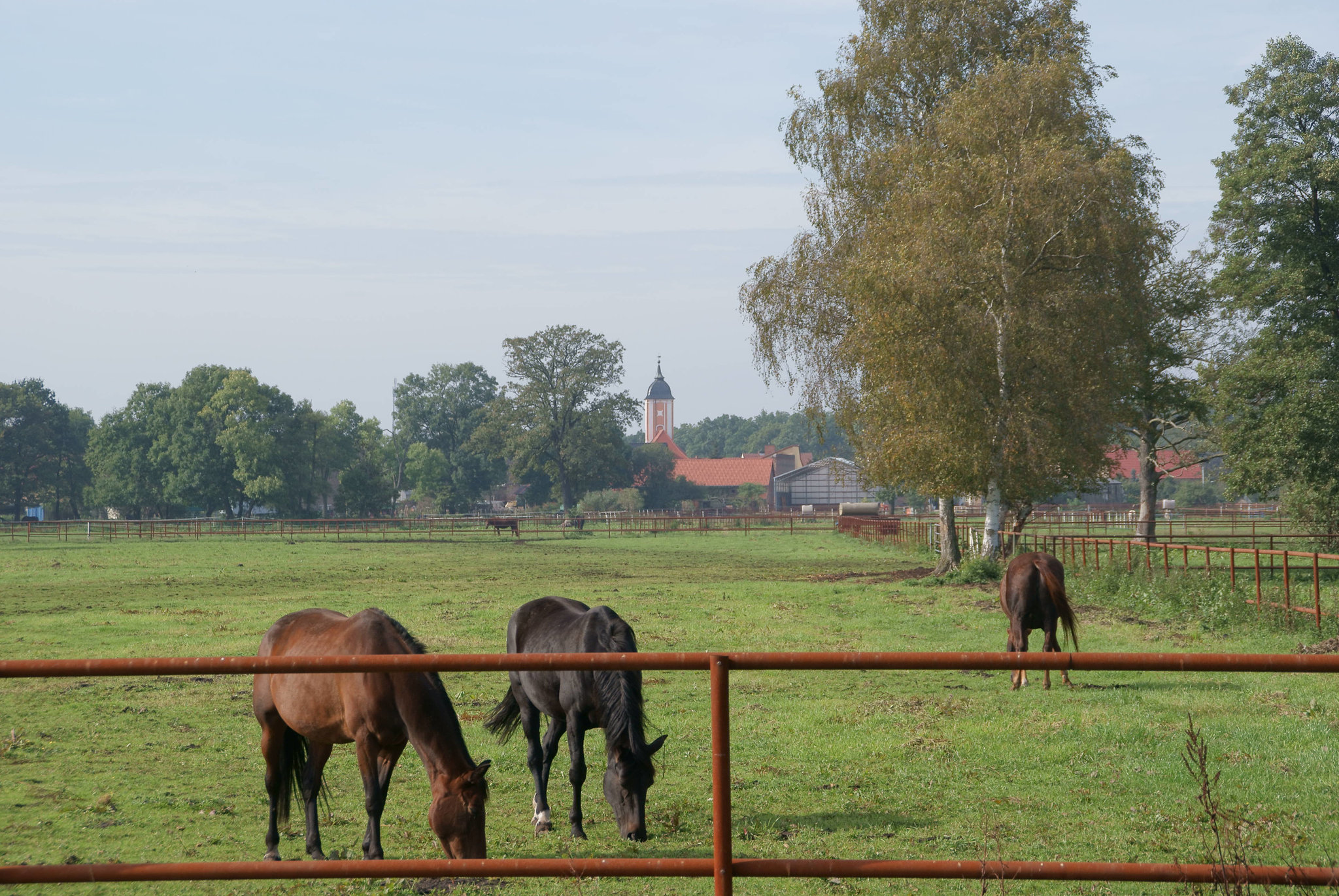 bei Reesdorf (Beelitz)