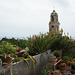 Roof Garden In Bussana Vecchia