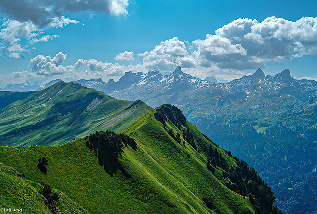 Vom Fronalpstock zum Klingestock