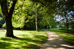 The Grounds of Lacock Abbey