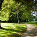 The Grounds of Lacock Abbey