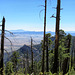 Pinaleño Mountains