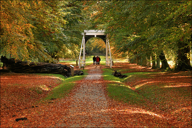 Wandeling in de herfst