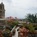 Roof Garden In Bussana Vecchia