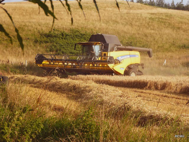 Bringing in the harvest