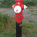 Borne-fontaine / Newfie hydrant