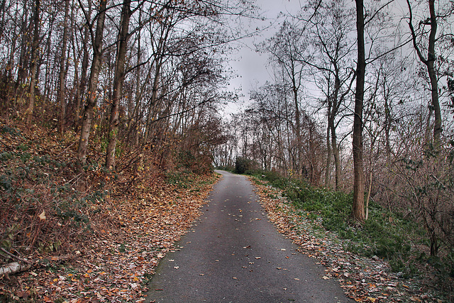 Weg auf dem Alsumer Berg (Duisburg-Bruckhausen) / 17.12.2022