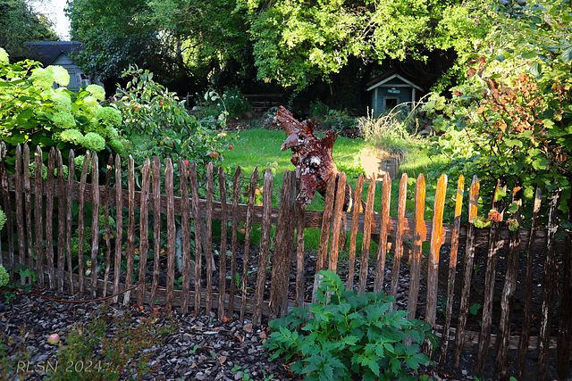 Wer guckt da über den Zaun? HFF! Wer guckt da über den Zaun? HFF!
