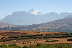 Farming in the Sacred Valley