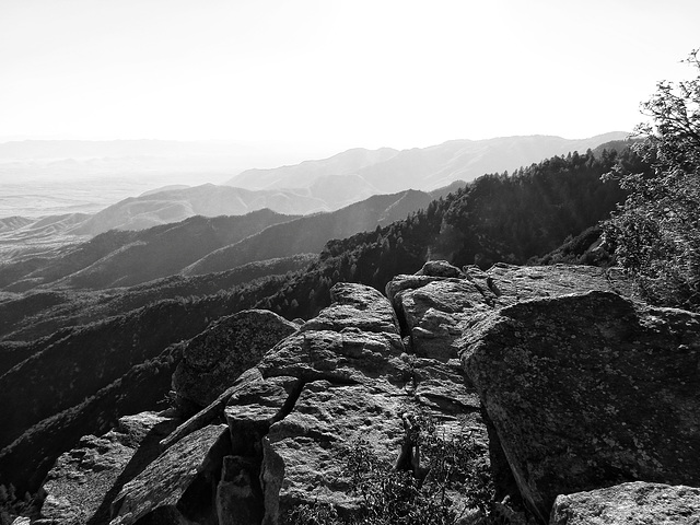 Pinaleño Mountains