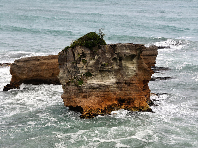 New Zealand New Zealand