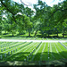 El cementerio nacional de Arlington en Arlington, Virginia, es un cementerio militar estadounidense establecido, durante la Guerra de Secesión, en los terrenos de Robert E. Lee. Está situado cerca del Río Potomac, en las proximidades de El Pentágono.