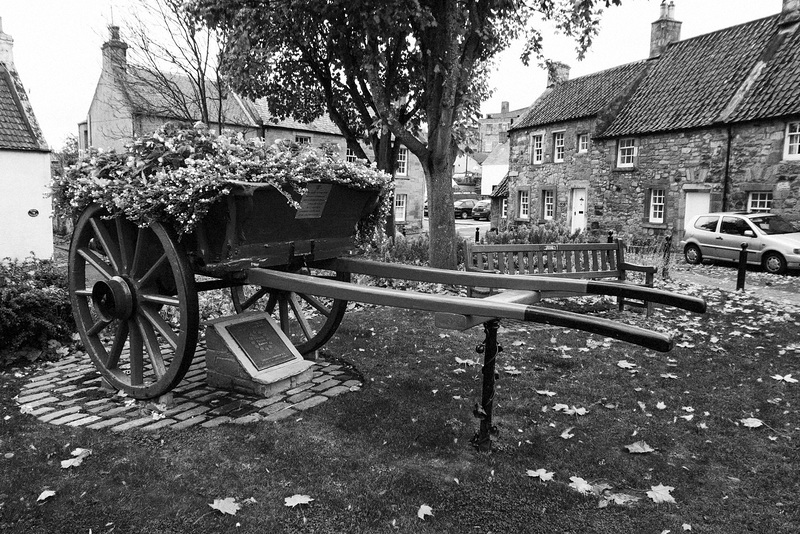 Floral Display, Falkland