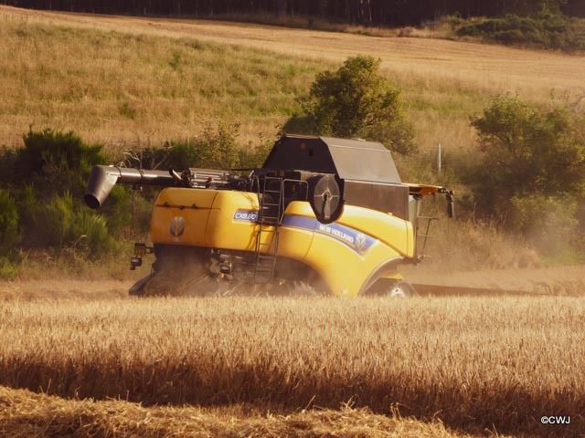 Bringing in the harvest