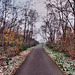 Weg auf dem Alsumer Berg (Duisburg-Bruckhausen) / 17.12.2022