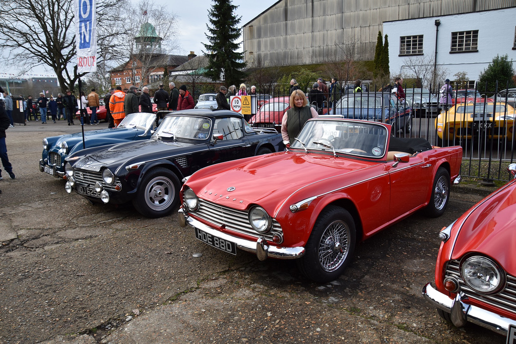 nydgbjan12024 (1113)
