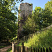 Tour Jeannette du château de Chalucet