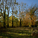 La campagne près d'Anet (Eure-et-Loir)