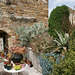 Roof Garden In Bussana Vecchia