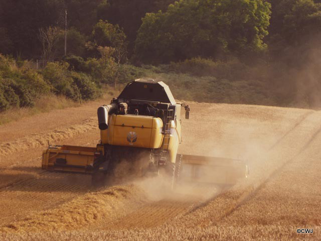 Bringing in the harvest