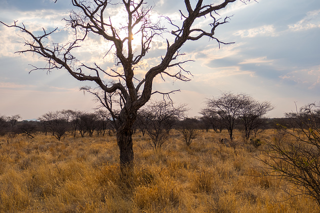 Namibia-0663